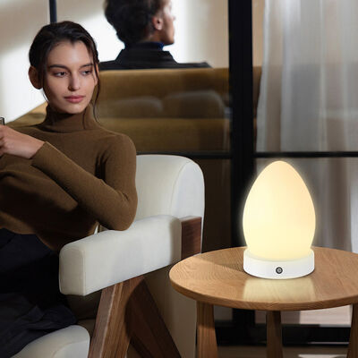 12V DC Output Voltage 360 Degree Egg Light Therapy Lamp USB Charging 5 Level Dimmable 186 LEDs Daylight Lamp Sad Therapy