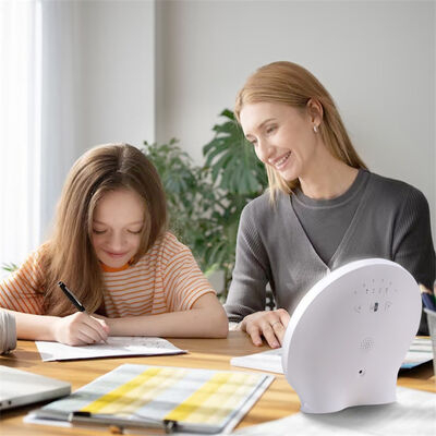 DC Power Supply Sun Sad 10000 LED Lightbox Light Therapy Lamp Featuring Adjustable Brightness and Colours Perfect for Home