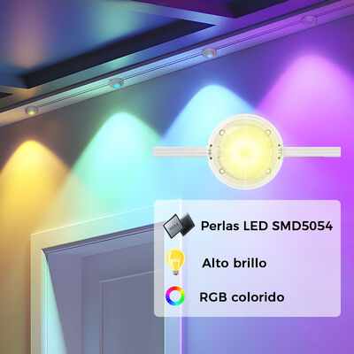 45M Adjustable Outdoor LED Eaves Lights Dimming Button APP 16 Million Colors IP65 Rated PVC Body Villa Holiday Decorations