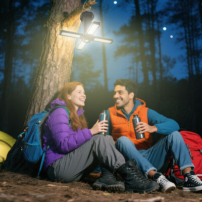 Hot Sale 16000mAh Factory Portable LED Camping Lamp Waterproof Dual Mode Emergency Four-Leaf Light