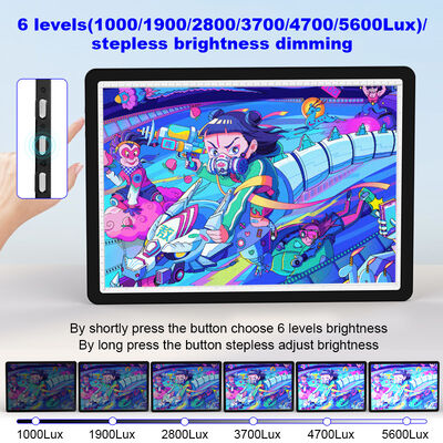 Acrylic Panel Tattoo Tracing Writing Copying Led Light up Pad Drawing Board